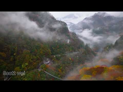 2024 11 15 日本德島 祖谷溪 龍宮岩公園 奥祖谷二重かずら橋 空拍穿越MV 4K60P 1