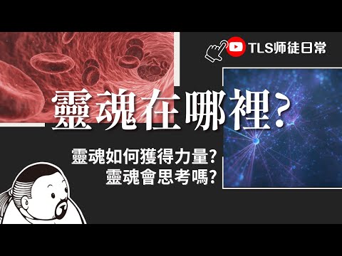 靈魂存在你身體哪裡?｜靈魂如何獲得力量? 靈魂會思考嗎? 通靈師父從獨創的古靈道論談魂魄學【TLS師徒日常】 (有字幕)