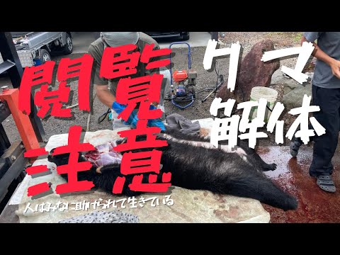 【vlog】⚠️閲覧注意　罠にかかったクマの解体現場に呼んでもらいました。食べるまでの過程を知ることは、命と向き合うこと。