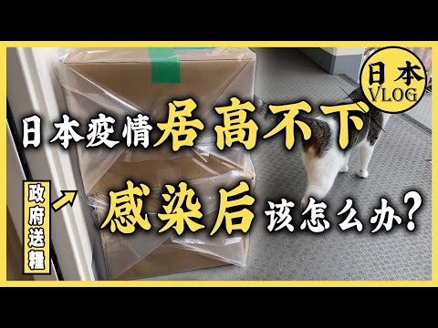 終於還是中招了！在日本感染了新冠之後該怎麼辦？ | 喜提居家療養十天體驗