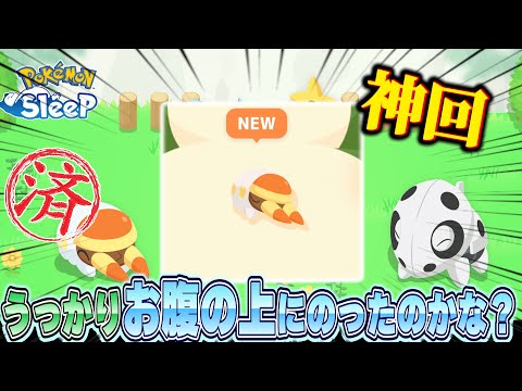 【神回】高級コーヒー豆厳選終わらせてきた【ポケモンスリープ/ゴールド旧発電所】