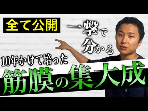 【限定公開】10年間時間を費やした筋膜の本質を大公開します【完全版】