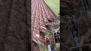 Un Trabajo Interesante #agricultura #satisfying  #agriculture  #shorts