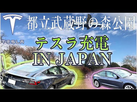 Teslaモデル3で行く| EV充電スポット#61 | 都立武蔵野の森公園【CHAdeMO急速】