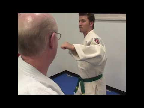 Budoshin Jujitsu: Cane Techniques Seminar 2013