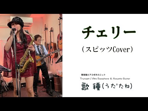 【 チェリー / スピッツ 】サックスCover　宇治市　PASTIME　2024.05.11