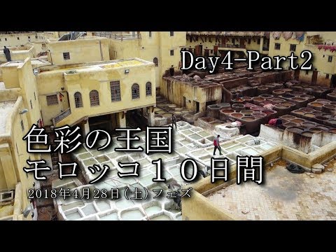 【モロッコ旅行 Day4-Part2】フェズ