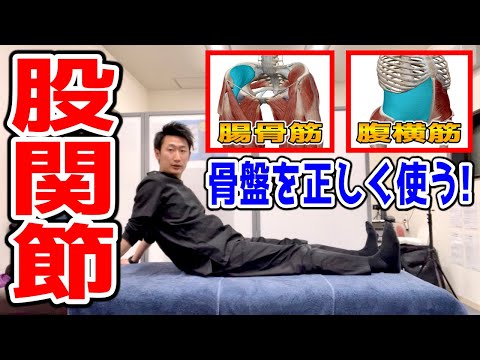 【股関節】骨盤正しく使えていますか？【#ハリボディTV】