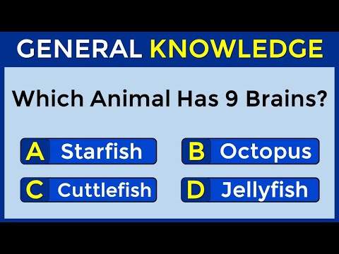 How Good Is Your General Knowledge? Take This 30-question Quiz To Find Out! #challenge 94