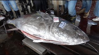 Bluefin tuna auction and cutting disintegration process - Donggang Fishing Port,Taiwan 黑鮪魚 卸魚拍賣.切割解體