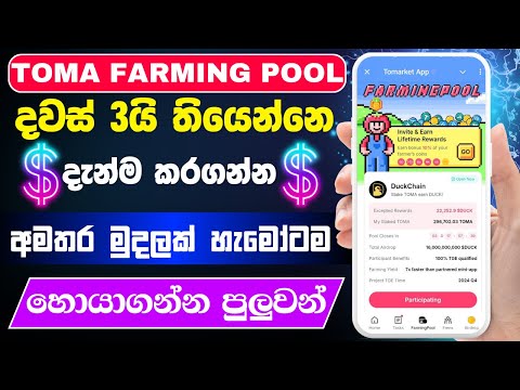 Tomarket airdrop duck farming | Toma duck farming | toma telegram airdrop