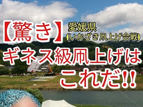 【驚き】ギネス級、凧あげ映像スペシャル!!　ミニちゅぶもチャレンジ決定☆(注)29年5月5日撮影