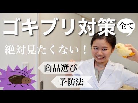 ゴキブリ対策！バルサン・ホウ酸団子・駆除スプレーの商品の選び方・家の環境づくりのポイント【薬剤師】