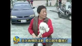 南投新聞-南投家畜所免費狂犬疫苗注射服務