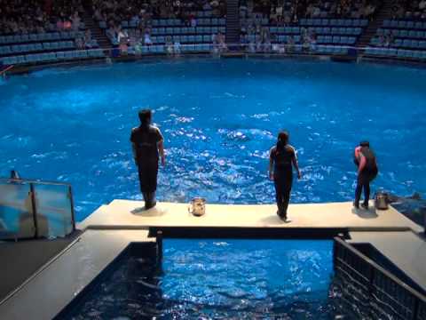 品川水族館・・イルカショー