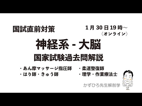 国試直前対策① 神経系 - 大脳