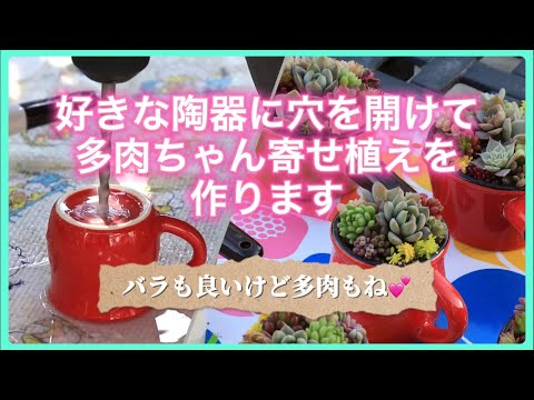 好きな陶器に穴を開けて、多肉ちゃん寄せ植えを作ります。バラも良いけど多肉もね💕