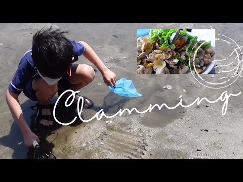 Clamming with Ninja fork in Japan & cooking steamed clams with Sake | 潮干狩りとアサリの酒蒸し