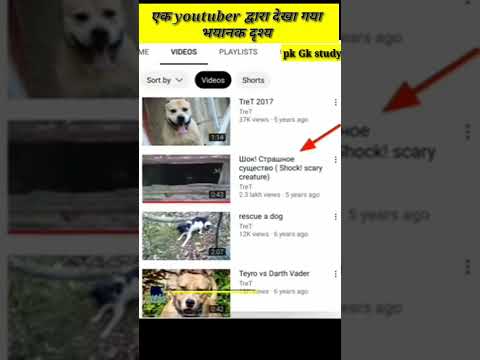 एक yutuber द्वारा देखा गया भयानक दृश्य #short #viral #facts #gkinhindi #horrorstories #shotsvideo