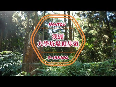 S步道｜南投｜溪頭大學坑堤頂步道｜夢幻浪漫心之湖｜鹿谷鄉