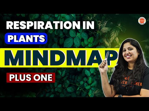 Respiration in Plants | Plus One Biology | Mind Map | State |CBSE|NEET | Anchana Ma'am