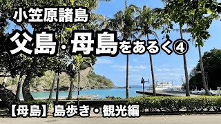 【小笠原諸島】父島・母島をあるく④【（母島）島あるき・観光編】