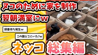 【2ch動物スレ総集編】ヌコの防寒対策に簡易的な家を設置→その結果www/ネッコ300選‼