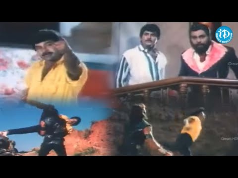 Chiranjeevi Mass Fight Scene Bhanu priya Kota srinivasarao Mohan babu | @iDreamCelebrityMasti