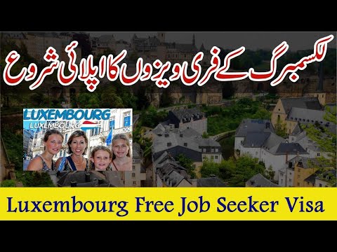 How to Apply for Visa Sponsorship Jobs in Luxembourg 2024 - Latest Luxembourg Visa Sponsorship Jobs