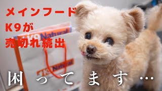 【悲報】クレマの主食！ドッグフードK9が売ってない！？売り切れてる理由が判明しました【トイプードル】