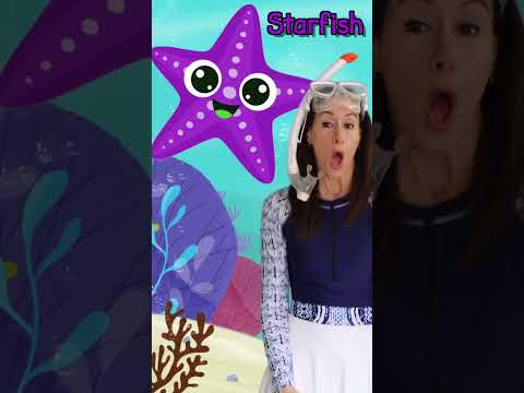 #shorts  Sea Animals Starfish Ocean Animals in English Shorts by Patty Shukla #short #learn #sea