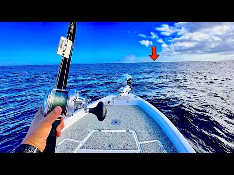 Fishing SOLO Offshore in the Gulf of Mexico for my DINNER! [Delicious Catch, Clean, Cook]