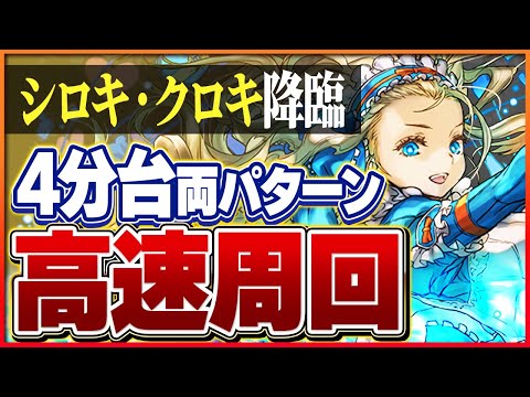 【シロキセイリュウ降臨】バレンタインノアループで攻略！シロキとクロキ確保用両パターン編成を紹介！【パズドラ】