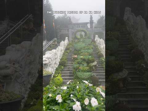 Ascending to peace The Buddhist Pagoda of Ba Na Hills #banahills #danang #vietnam #travel #shorts