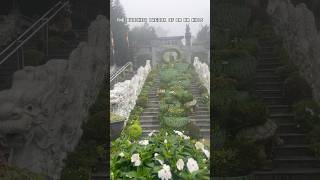 Ascending to peace The Buddhist Pagoda of Ba Na Hills #banahills #danang #vietnam #travel #shorts