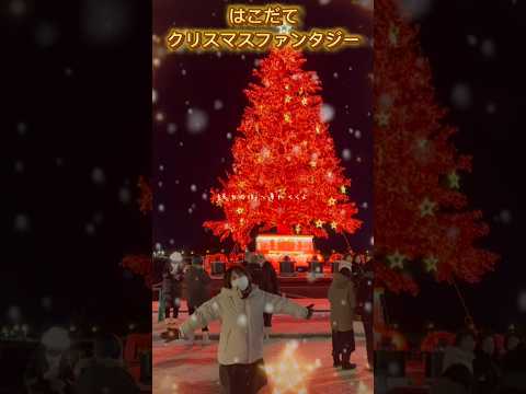 はこだてクリスマスファンタジー　#クリスマスツリー#函館#イベント