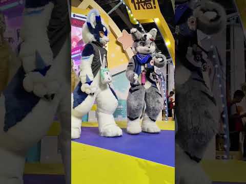 OREZ and AMITO You dance! I dance! The two of us #dance #furrycommunity #furrycommunity #dancing