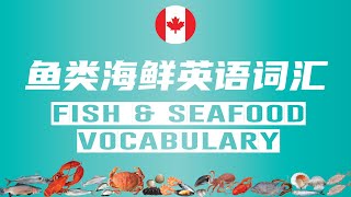 Learn Fish and Seafood Vocabulary in English 鱼类海鲜英文词汇