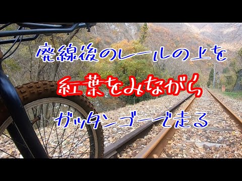 廃線後のレールの上を自転車で走る レールマウンテンバイクGattan Go!! 渓谷コース　岐阜県飛騨市紅葉を見る