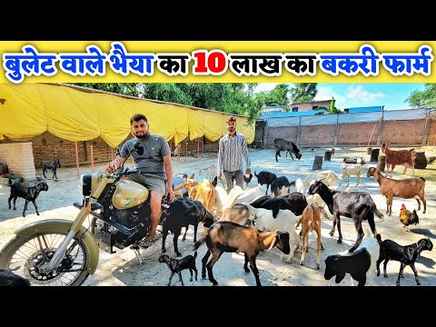 बुलेट वाले भैया ने बनाया 10 लाख का बकरी फार्म | Goat farm shed design in hindi | Goat farming