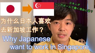 Why do Japanese like to come to Singapore for work?🇸🇬🇯🇵/为什么日本人喜欢去新加坡工作？