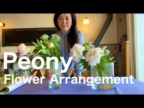 【Peony】芍薬を生ける マダムがレストランに生ける芍薬 Restaurant Flower Arrangement