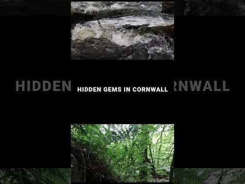 Cornwall Hidden Gems #travel #cinematic #uk #cornwall #uktravel #nature #travelvlog #forest