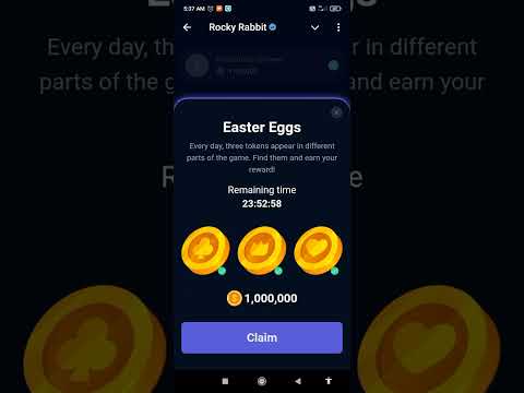 Rocky Rabbit Easter Egg 6 September | Rocky Rabbit Easter Egg Daily combo  | Today Easter egg