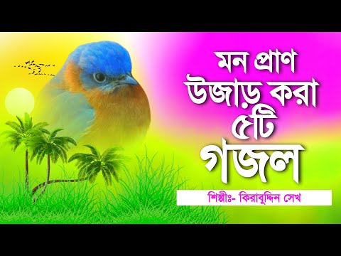 ৫টি মন প্রাণ উজাড় করা মধুর সুরের গজল | Most Popular Top 5 Gojol | Bangla Gojol | বাংলা গজল | Gazal