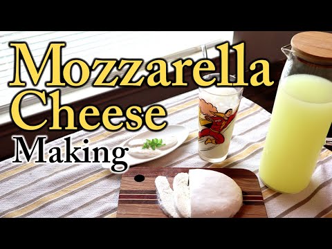 Making Mozzarella Cheese, Recipe, ASMR, Lifestyle, Saving, Bible