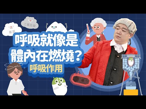 【科學家的故事-拉瓦節】呼吸就像是體內在燃燒？｜呼吸作用｜LIS情境科學教材