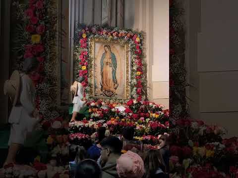 Todos los dias debemos de visitar a Nuestra bella Morenita no solamente el 12 de diciembre Amén 🙏😇