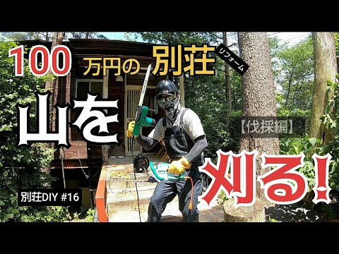 【別荘DIY #16】190坪の森林を伐採！ひと刈りいこうぜ！／貯めた小遣い100万円で築41年190坪土地付き別荘買った！