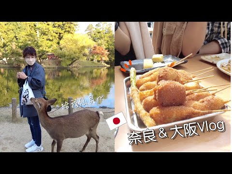 奈良＆大阪Vlog｜悠閒旅遊｜東大寺、春日大社、一日訓鹿師、通天閣炸串、最愛的起司蛋糕❤️、四年不見的好友😭｜Day11｜Eve 伊芙,留日生活中